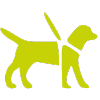 balade chien collective ou individuelle