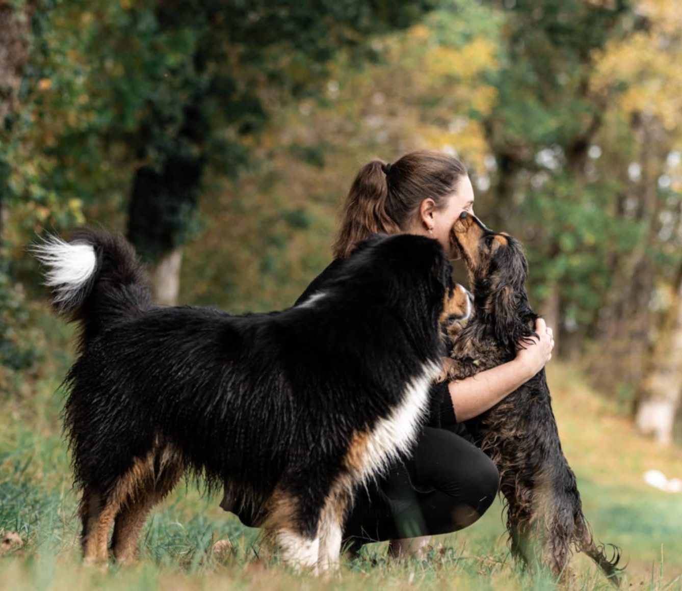 garde canine balade jeu 31 81